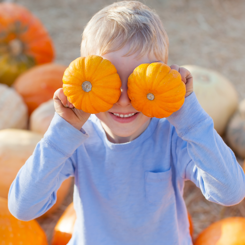 Fun Fall Activities for Camp or Home