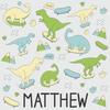 Skater Dinos Water Bottle Labels