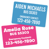 Examples of Transportation Tags in peacock and hot pink with bold bananas and clean font options.